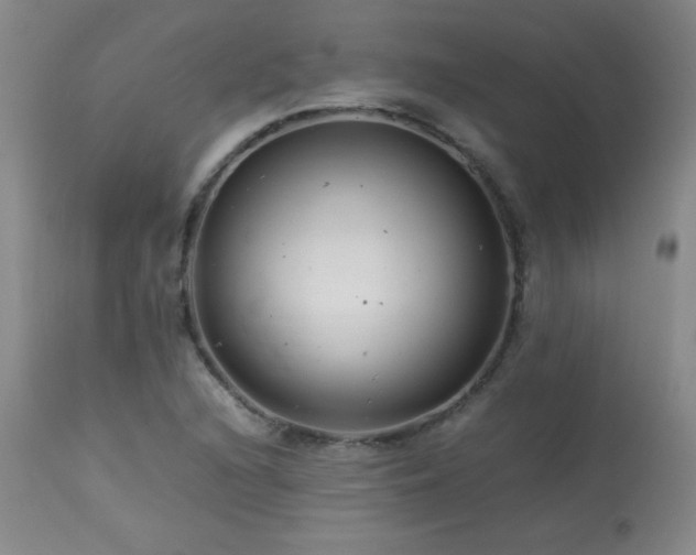 X0000113991216200910021214