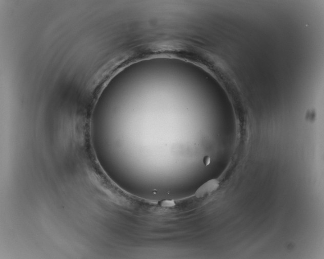 X0000113991217200910021214