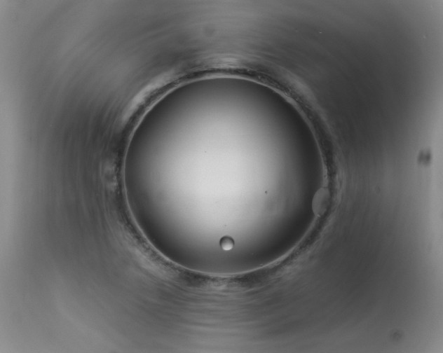 X0000113991218200910021214