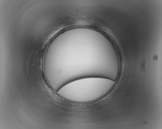 X0000113991220200910021214