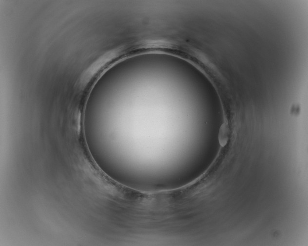 X0000113991221200910021214