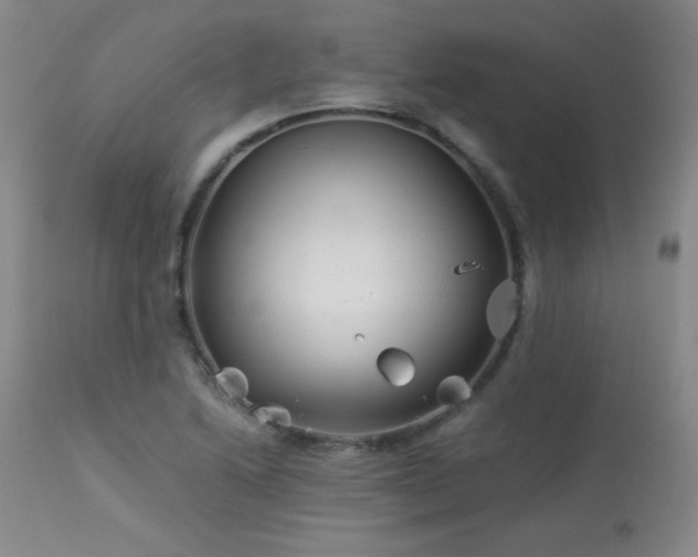 X0000113991222200910021214