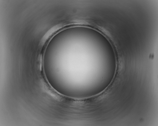 X0000113991223200910021214