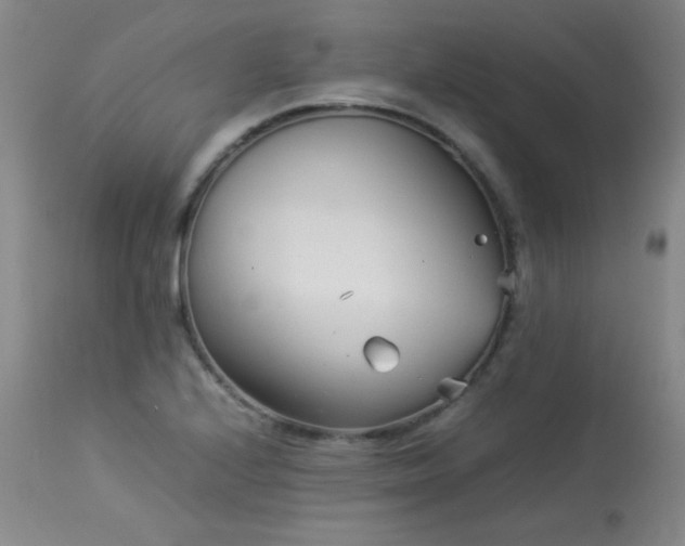 X0000113991224200910021214