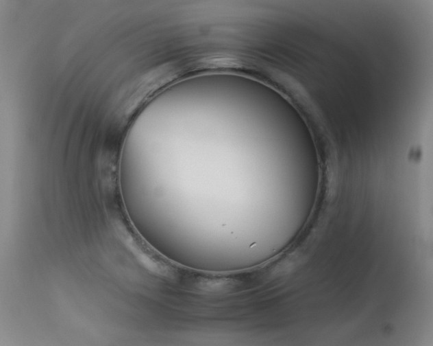 X0000113991225200910021214