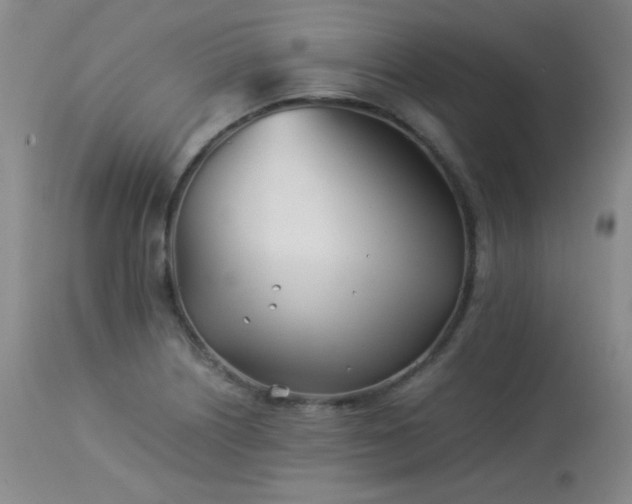 X0000113991226200910021214