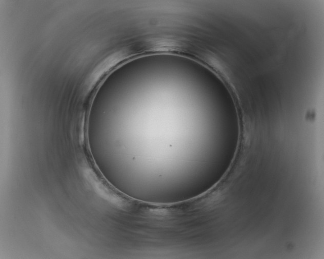 X0000113991227200910021214