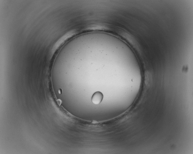 X0000113991229200910021215