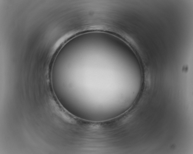 X0000113991230200910021215