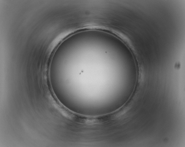 X0000113991231200910021215