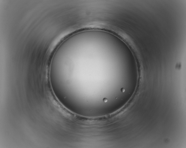 X0000113991232200910021215