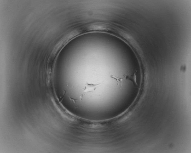 X0000113991233200910021215