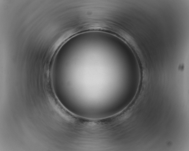 X0000113991234200910021215