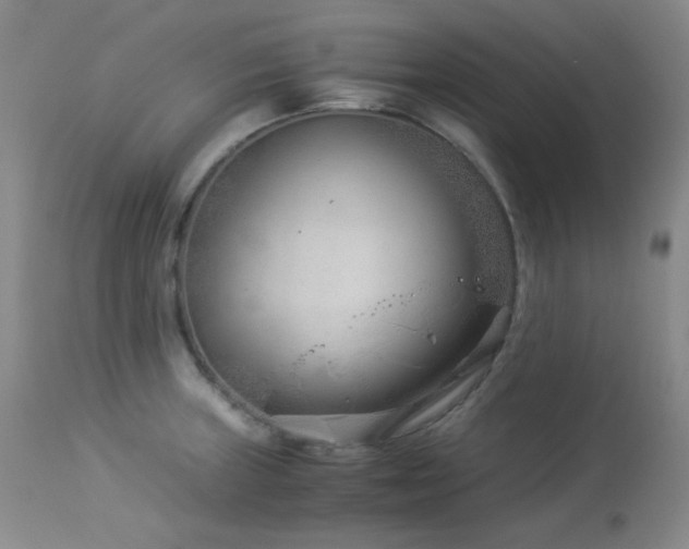 X0000113991235200910021215