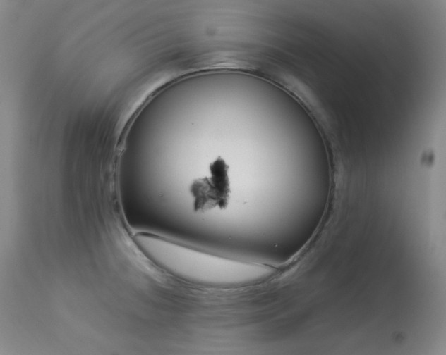 X0000113991236200910021215