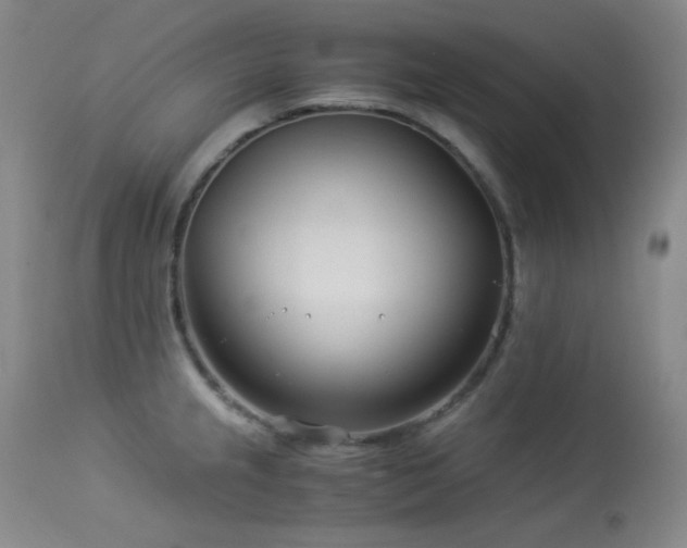 X0000113991237200910021215