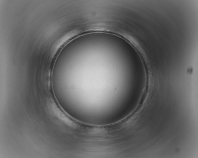 X0000113991238200910021215