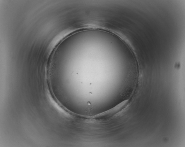 X0000113991239200910021215