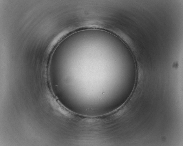 X0000113991240200910021215