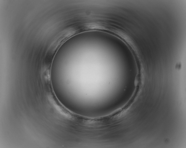 X0000113991241200910021215