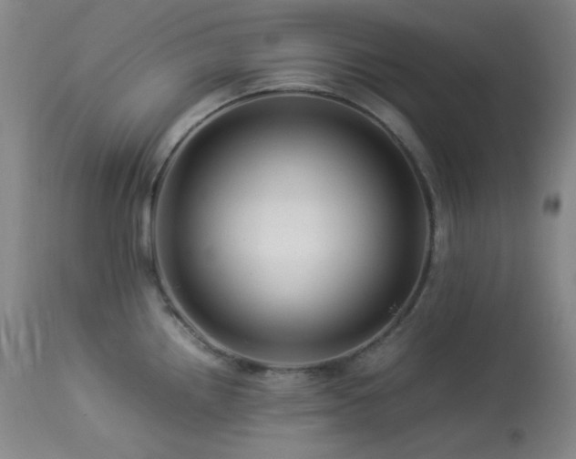 X0000113991242200910021215