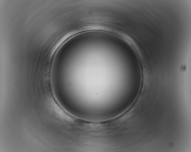 X0000113991244200910021215