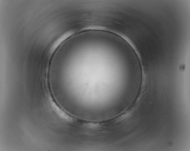 X0000113991245200910021215