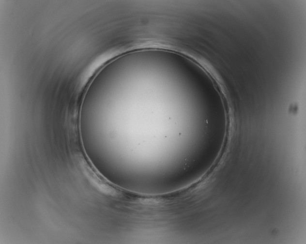 X0000113991246200910021215