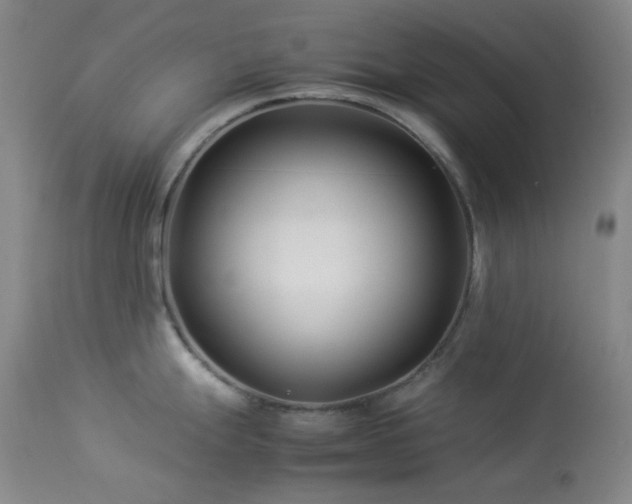 X0000113991247200910021215