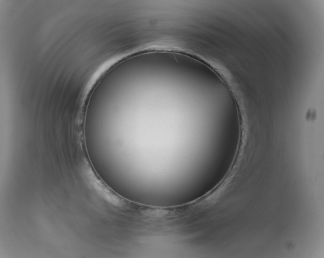 X0000113991248200910021215