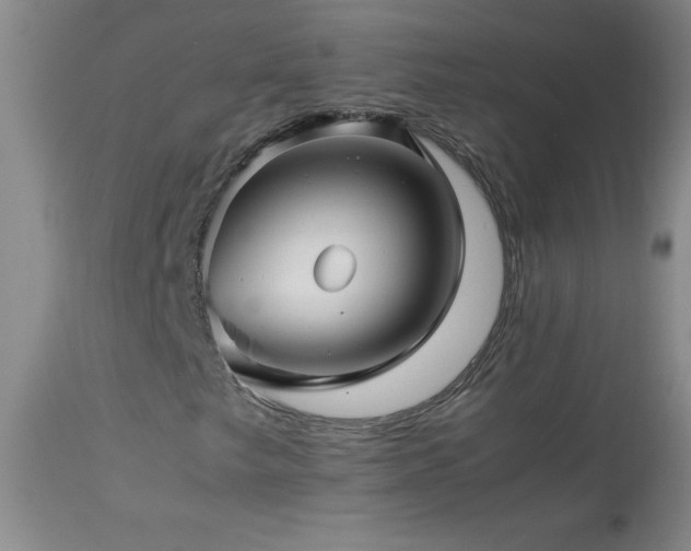 X0000113991249200910021214