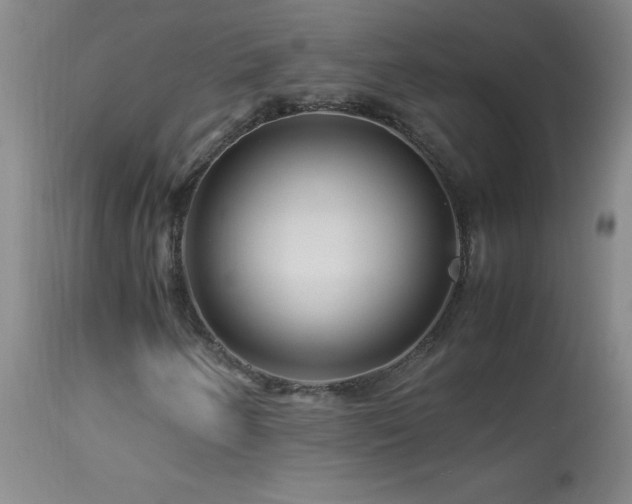 X0000113991250200910021214