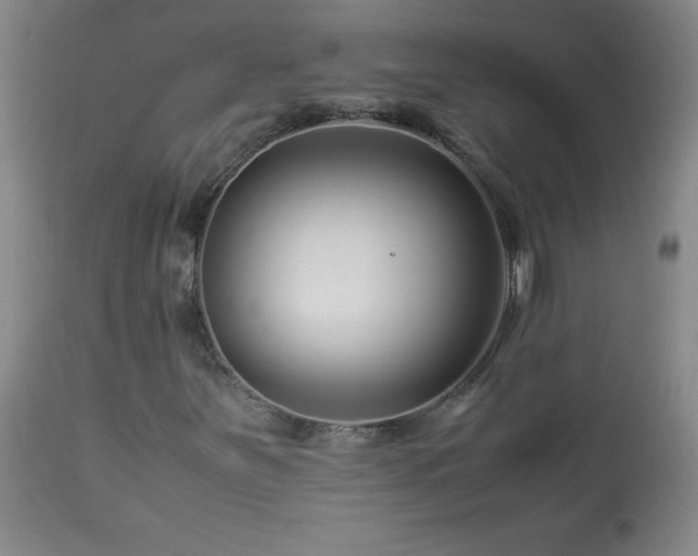 X0000113991251200910021214