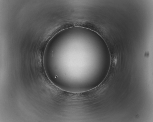 X0000113991252200910021214