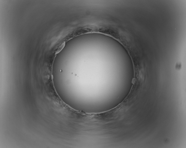 X0000113991253200910021214