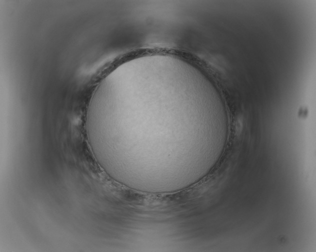 X0000113991254200910021214