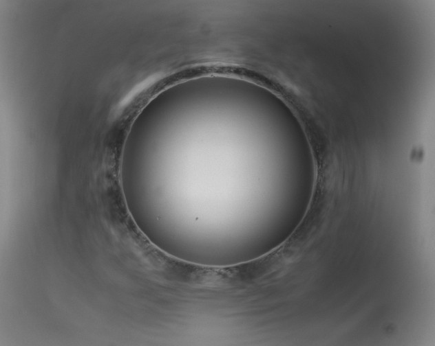 X0000113991255200910021214