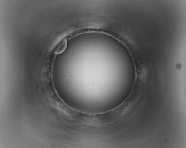 X0000113991256200910021214