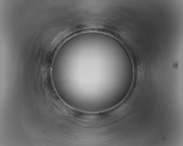 X0000113991257200910021214