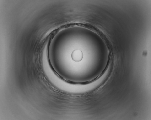 X0000113991258200910021214