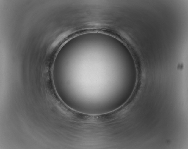 X0000113991259200910021214