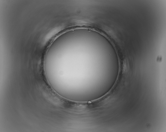 X0000113991261200910021214