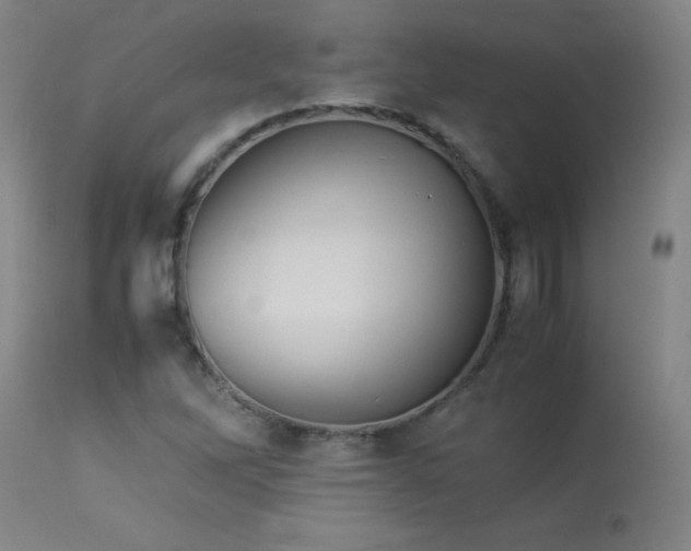 X0000113991262200910021214