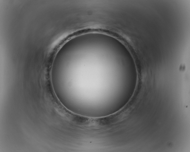 X0000113991263200910021214