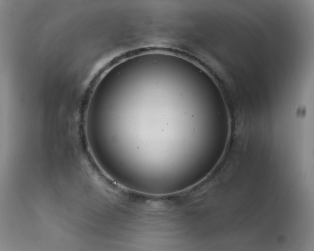 X0000113991264200910021214