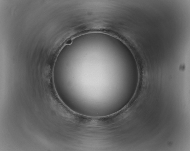 X0000113991265200910021214