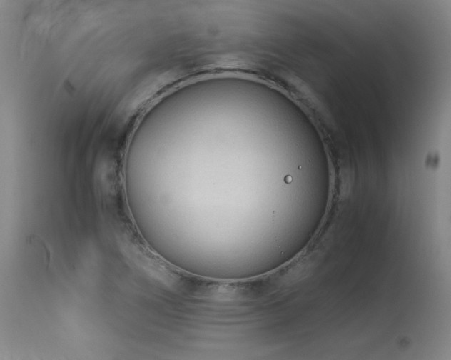 X0000113991266200910021214