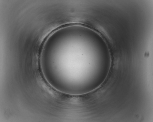 X0000113991268200910021214