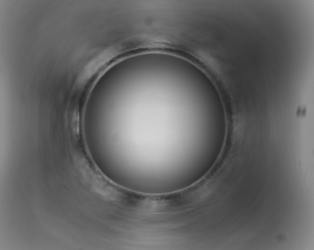 X0000113991269200910021214