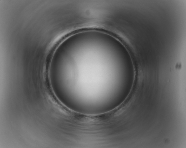 X0000113991270200910021214